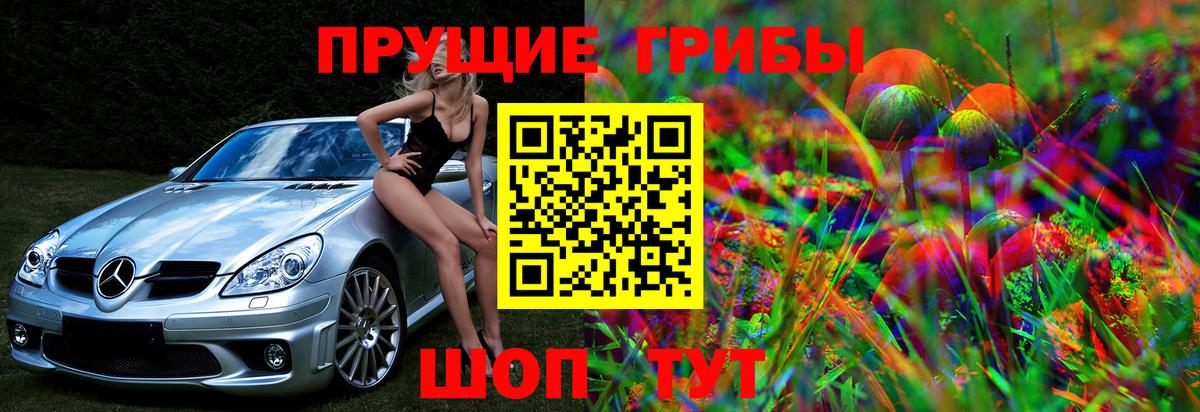 Галлюциногенные грибы Magic Shrooms  Вход с VPN  Елец 