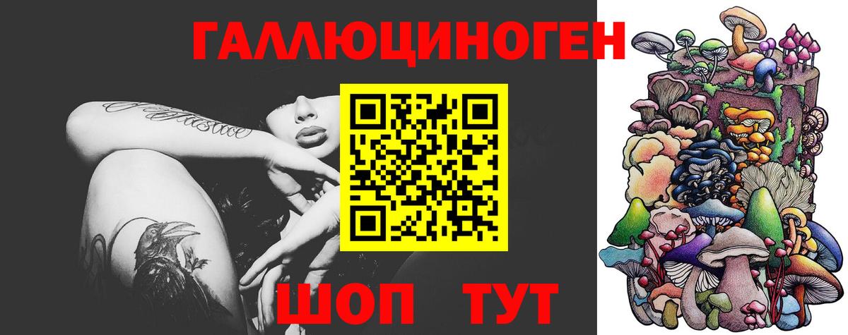 Псилоцибиновые грибы Cubensis Елец